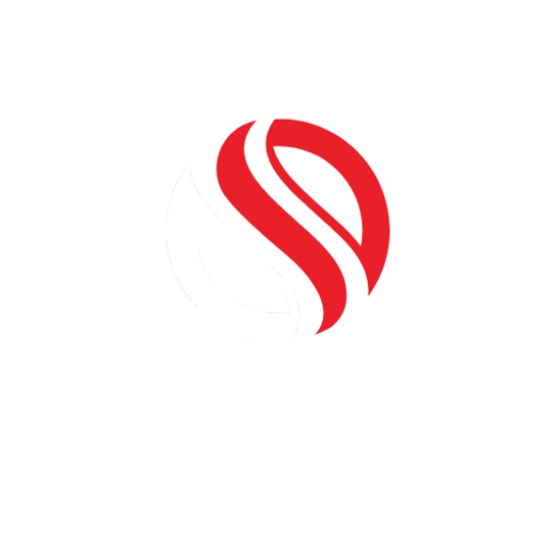 TheBizInfo